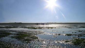 omgeving-landschappen